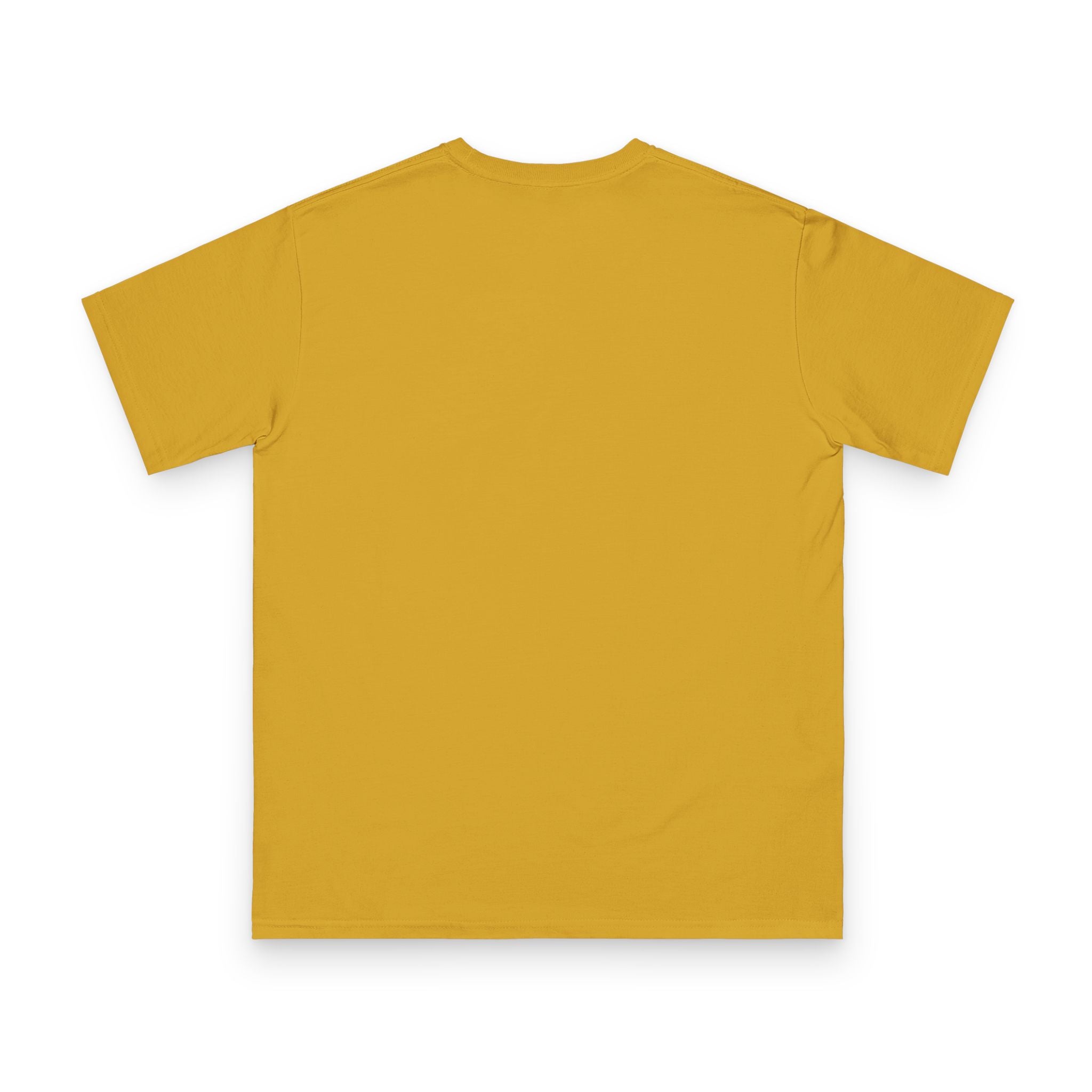 Vintage Concert Graphic Tee