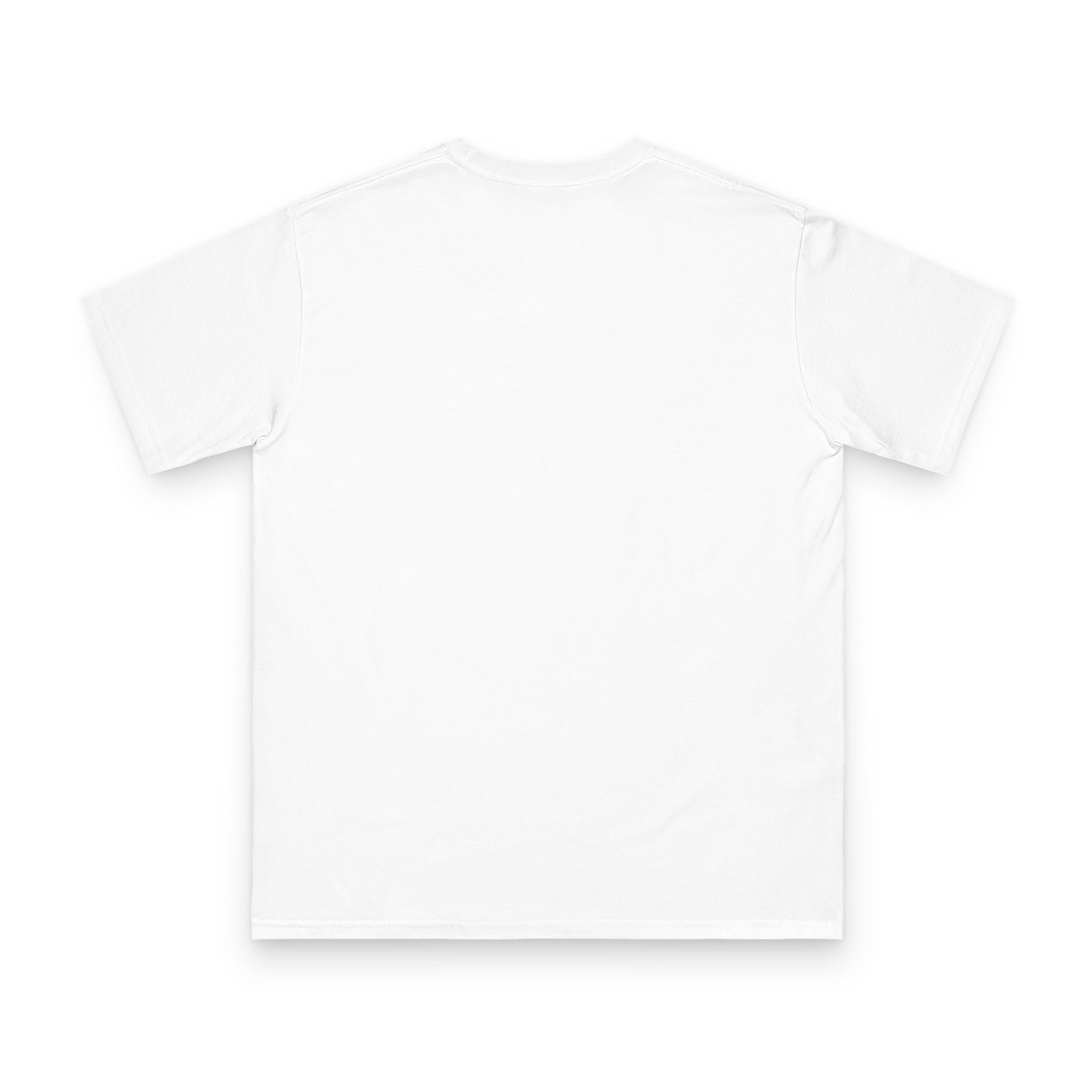 Vintage Concert Graphic Tee