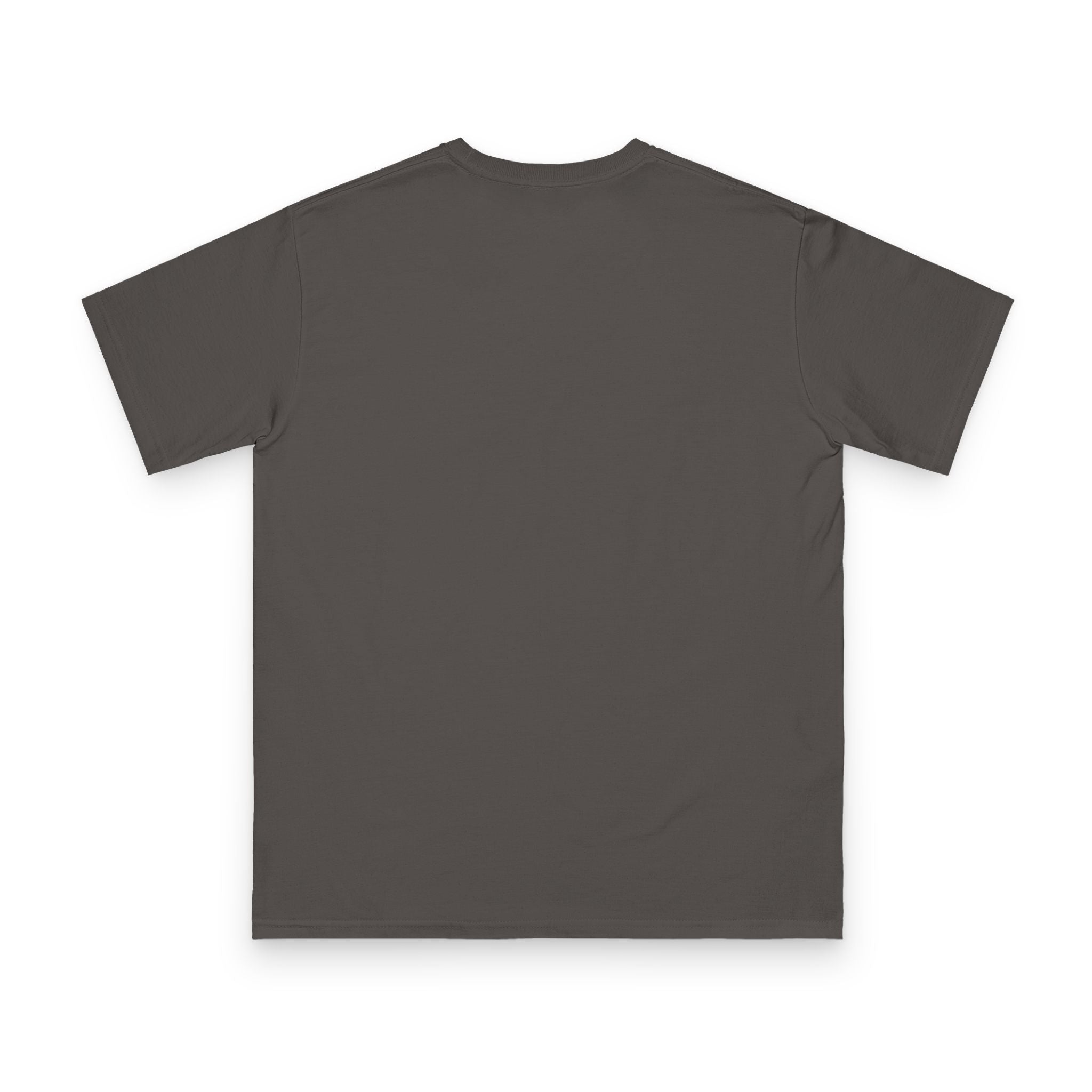 Vintage Concert Graphic Tee