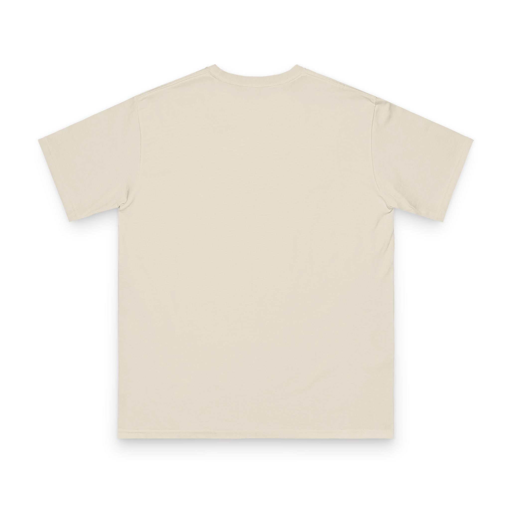 Vintage Concert Graphic Tee